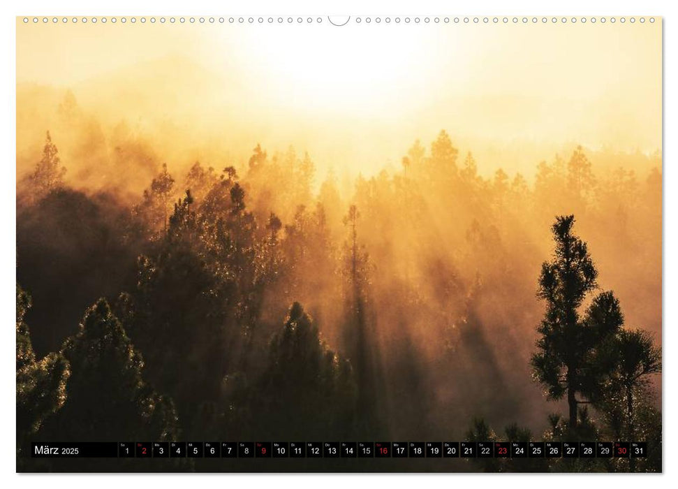 Teneriffa - Insel der Vielfalt (CALVENDO Premium Wandkalender 2025)