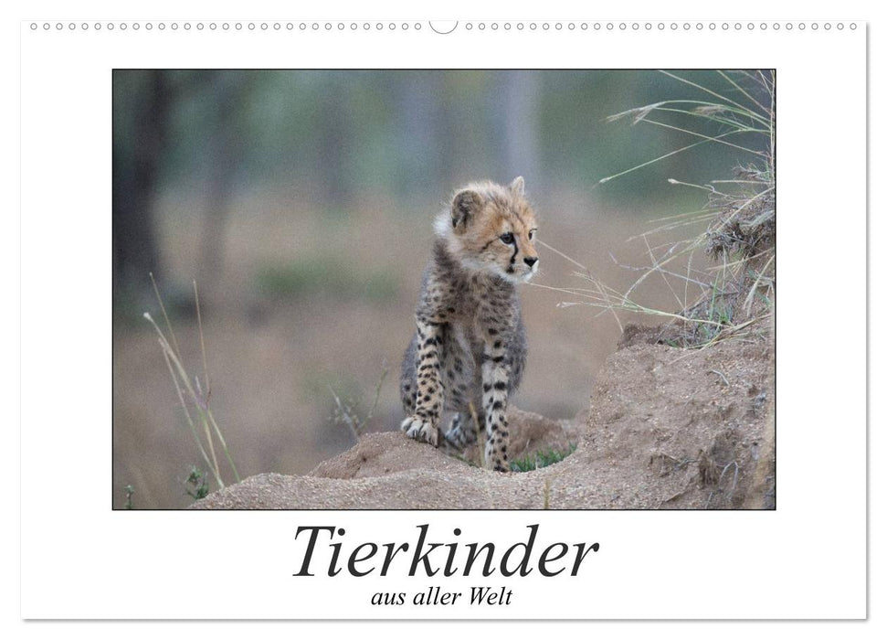 Tierkinder aus aller Welt (CALVENDO Wandkalender 2025)