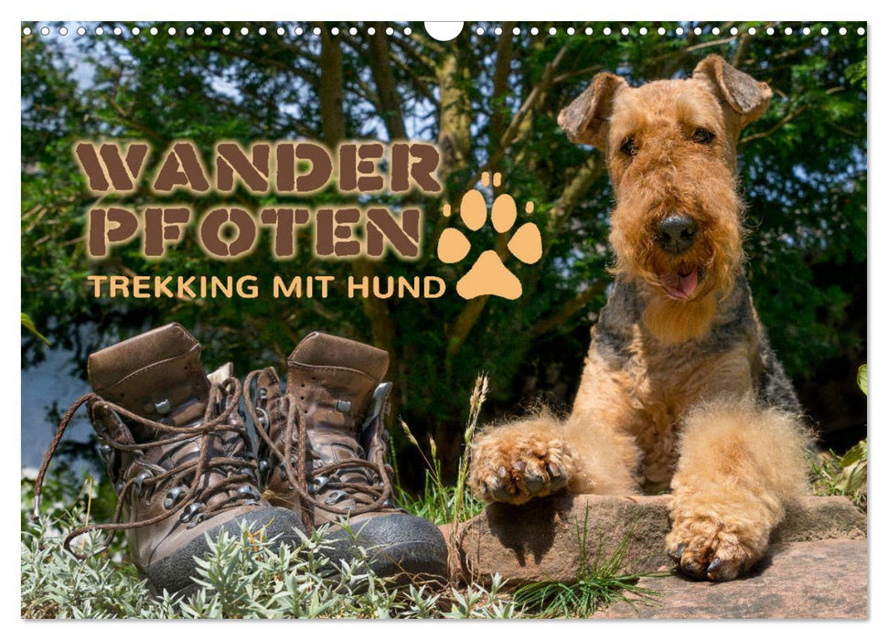 Wanderpfoten. Trekking mit Hund (CALVENDO Wandkalender 2025)