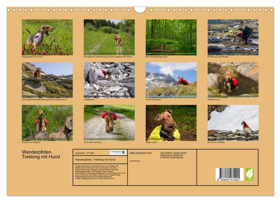 Wanderpfoten. Trekking mit Hund (CALVENDO Wandkalender 2025)