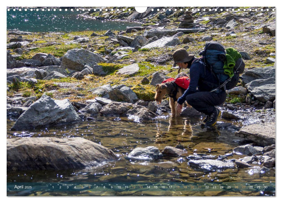 Wanderpfoten. Trekking mit Hund (CALVENDO Wandkalender 2025)