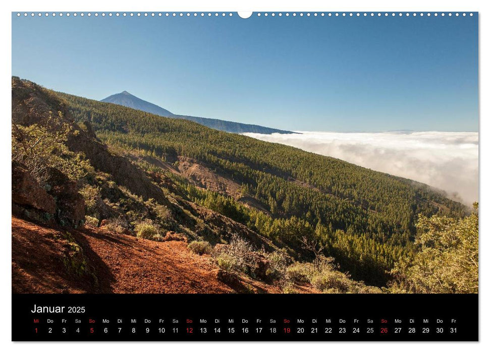 Teneriffa - Insel des ewigen Frühlings (CALVENDO Wandkalender 2025)