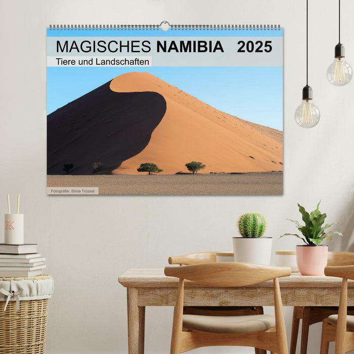 Magisches Namibia - Tiere und Landschaften (CALVENDO Wandkalender 2025)