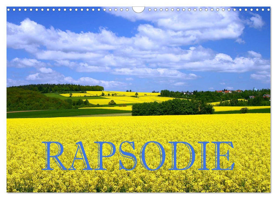 Rapsodie (CALVENDO Wandkalender 2025)