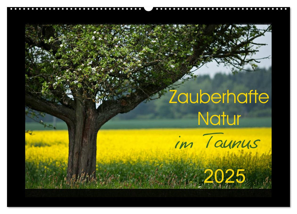 Zauberhafte Natur im Taunus (CALVENDO Wandkalender 2025)