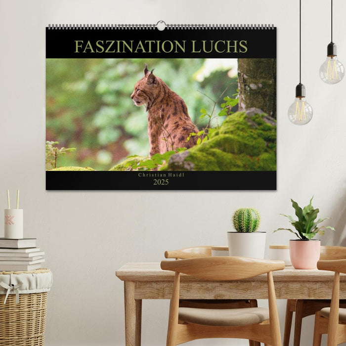 Faszination Luchs (CALVENDO Wandkalender 2025)