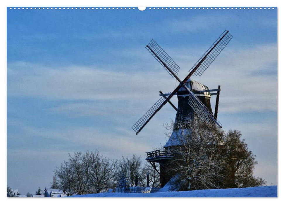 Das Alte Land vor den Toren Hamburgs (CALVENDO Premium Wandkalender 2025)