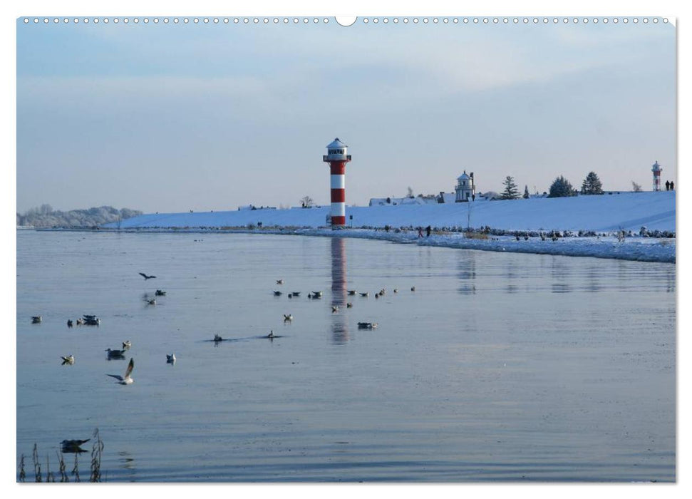 Das Alte Land vor den Toren Hamburgs (CALVENDO Premium Wandkalender 2025)