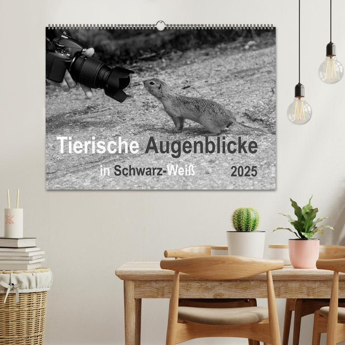 Tierische Augenblicke in Schwarz-Weiß (CALVENDO Wandkalender 2025)