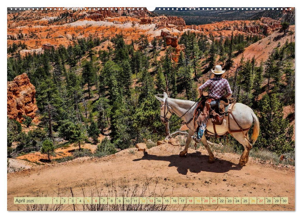 Nationalparks der USA - atemberaubend schön (CALVENDO Premium Wandkalender 2025)