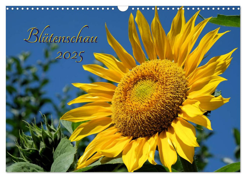 Blütenschau 2025 (CALVENDO Wandkalender 2025)