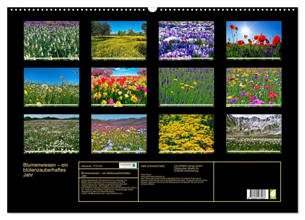 Blumenwiesen – ein blütenzauberhaftes Jahr (CALVENDO Wandkalender 2025)