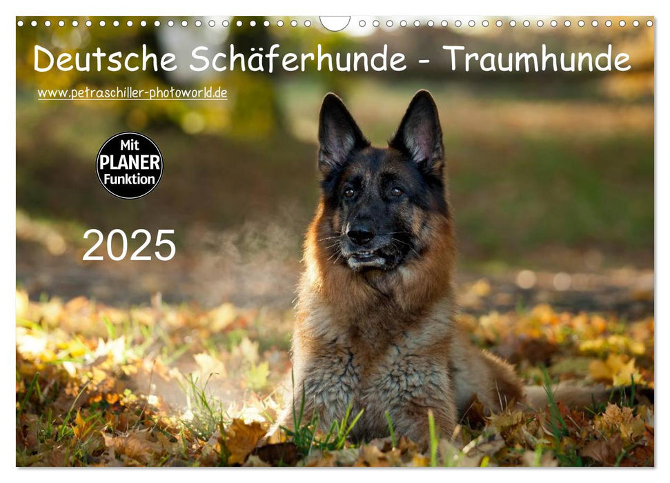 Deutsche Schäferhunde - Traumhunde (CALVENDO Wandkalender 2025)