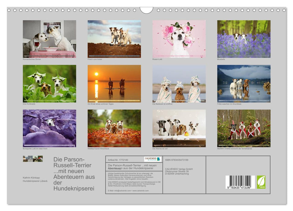 Die Parson-Russell-Terrier ...mit neuen Abenteuern aus der Hundeknipserei (CALVENDO Wandkalender 2025)