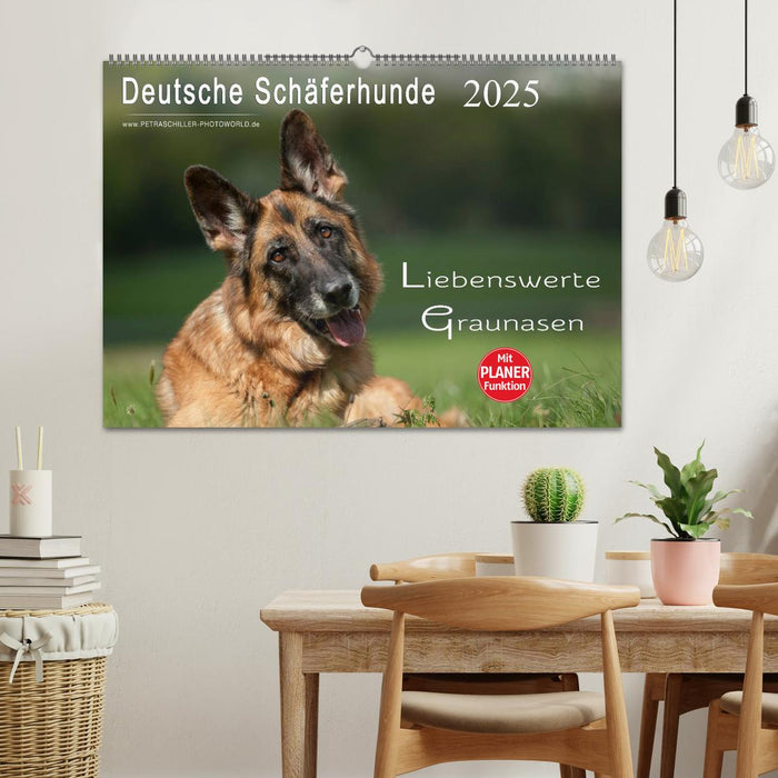 Deutsche Schäferhunde - Liebenswerte Graunasen (CALVENDO Wandkalender 2025)