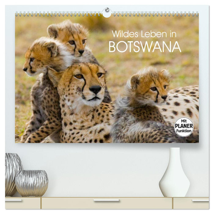 Wildes Leben in Botswana (CALVENDO Premium Wandkalender 2025)