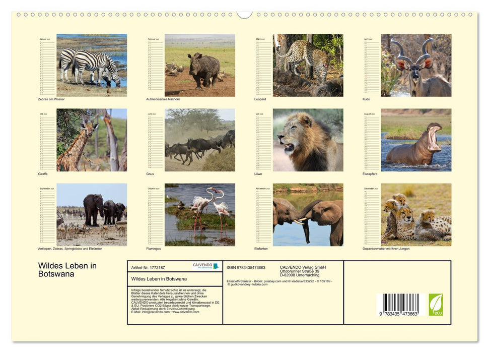 Wildes Leben in Botswana (CALVENDO Premium Wandkalender 2025)