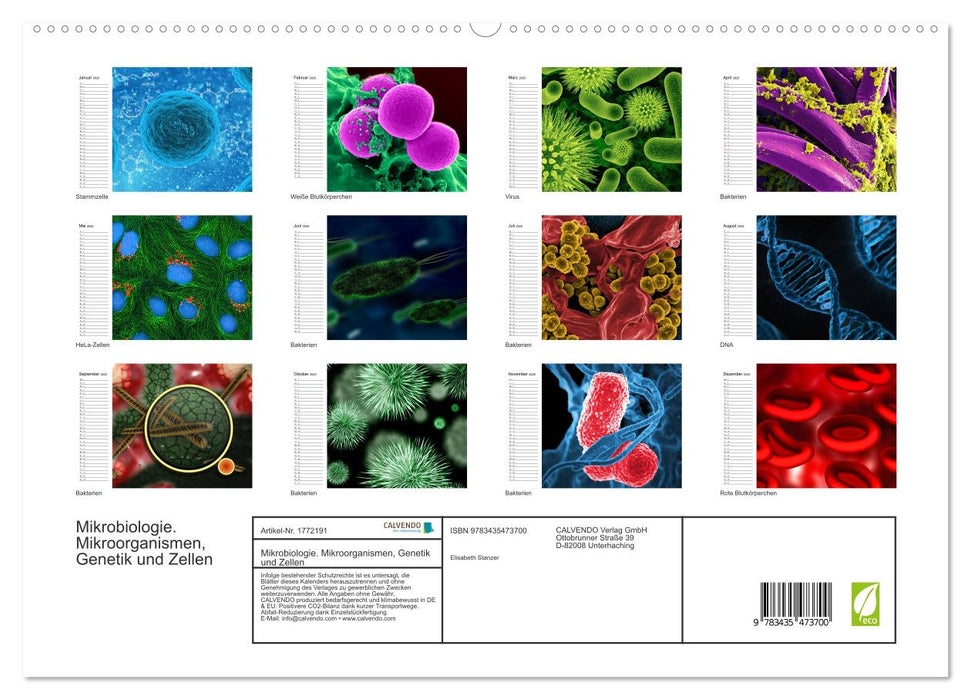 Mikrobiologie. Mikroorganismen, Genetik und Zellen (CALVENDO Premium Wandkalender 2025)