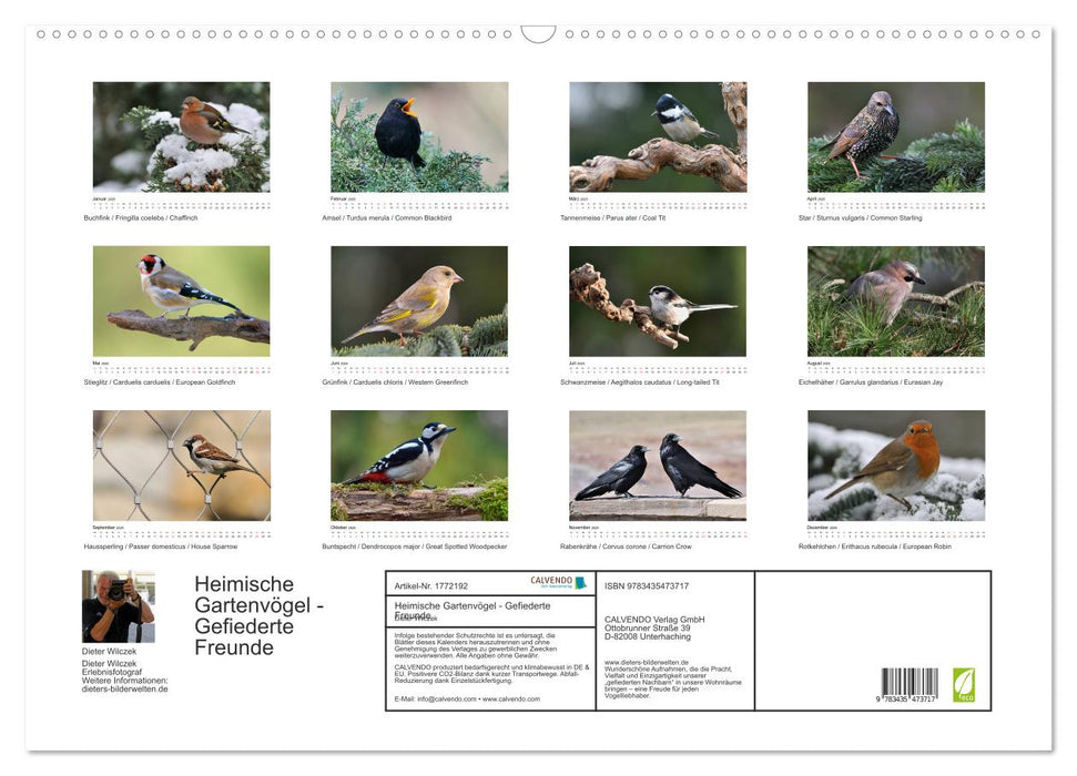 Heimische Gartenvögel - Gefiederte Freunde (CALVENDO Wandkalender 2025)