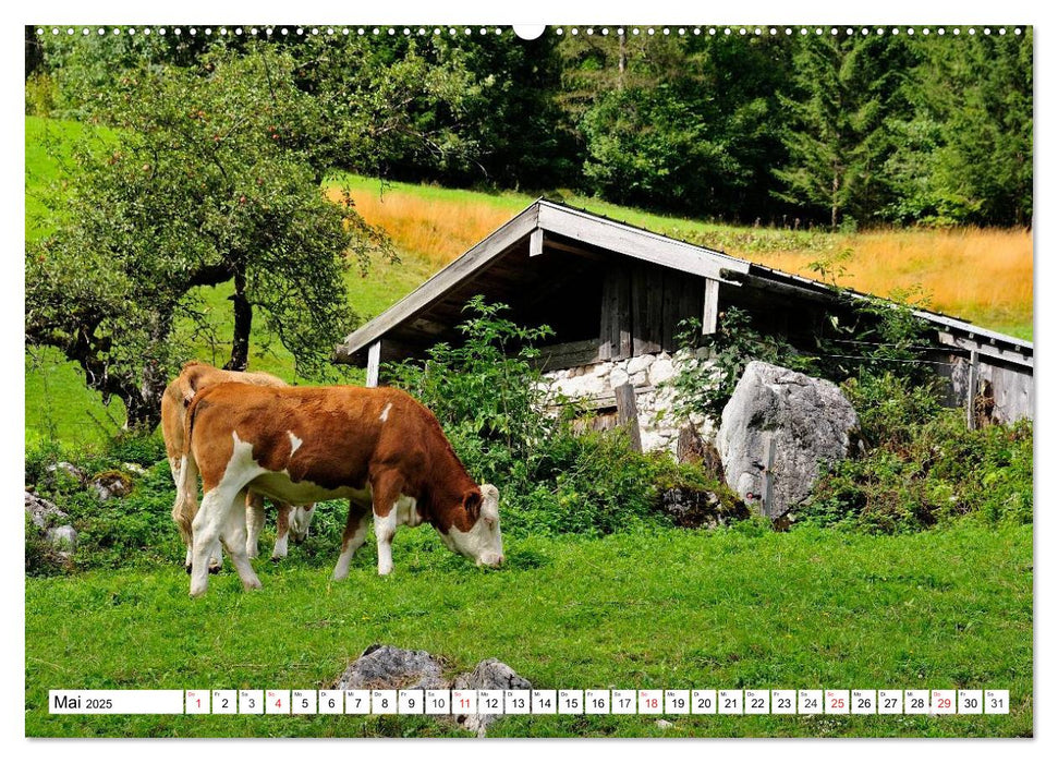 Mein Werdenfelser Land (CALVENDO Wandkalender 2025)