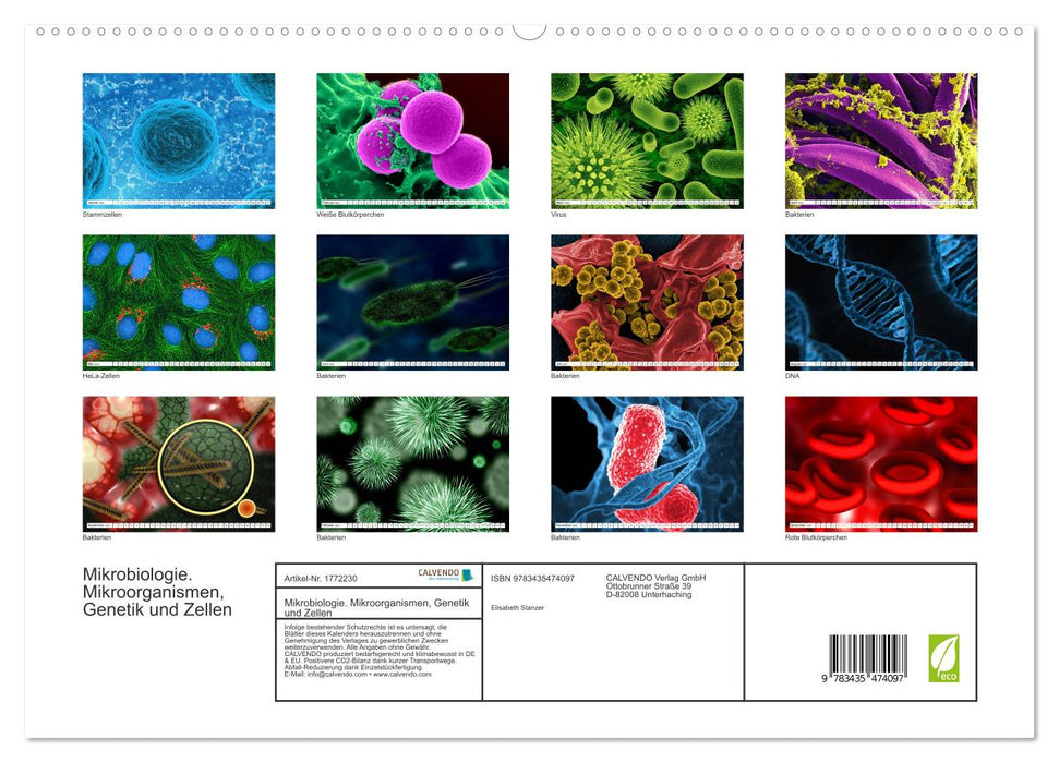 Mikrobiologie. Mikroorganismen, Genetik und Zellen (CALVENDO Premium Wandkalender 2025)