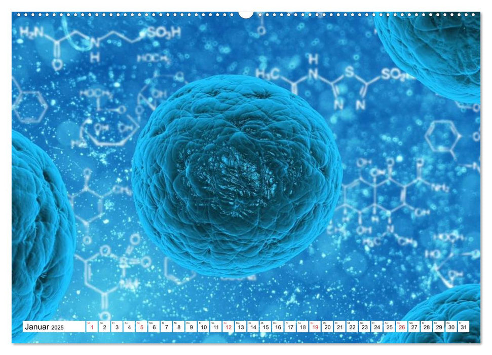 Mikrobiologie. Mikroorganismen, Genetik und Zellen (CALVENDO Premium Wandkalender 2025)