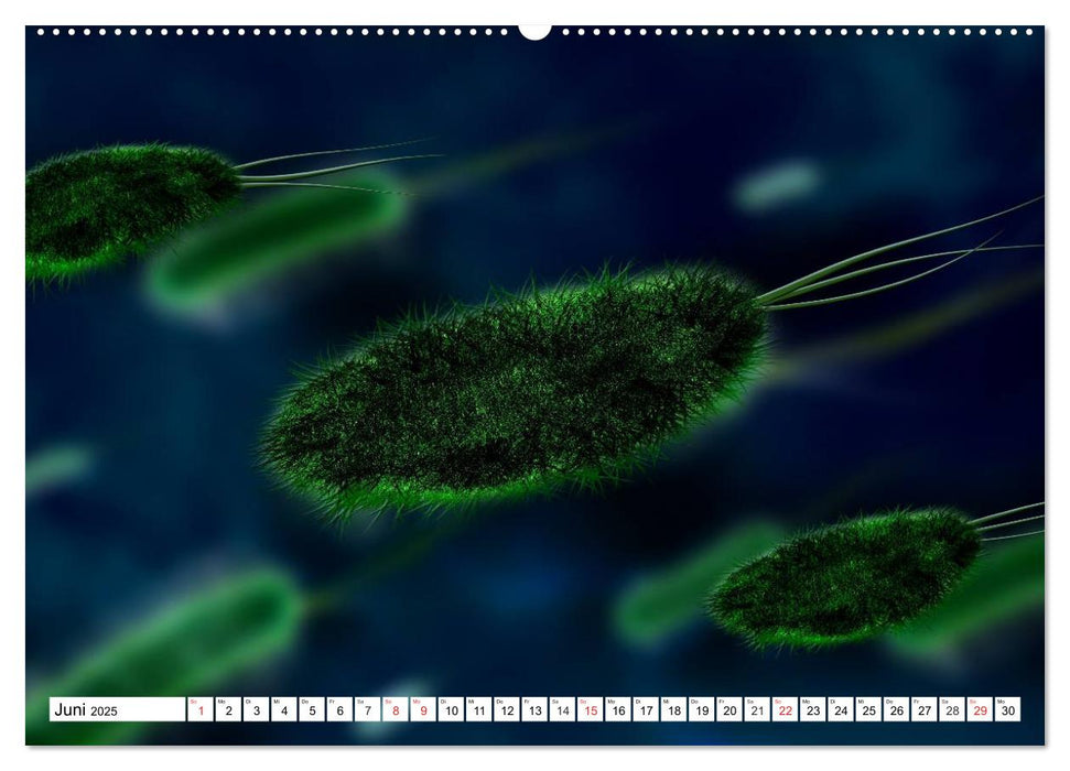 Mikrobiologie. Mikroorganismen, Genetik und Zellen (CALVENDO Premium Wandkalender 2025)