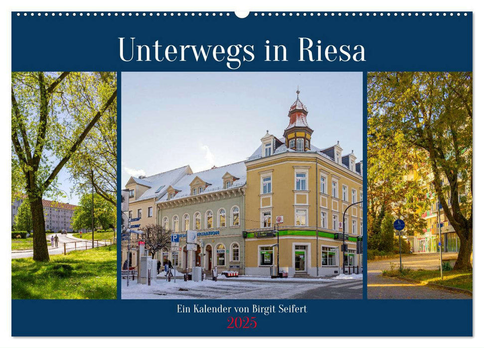 Unterwegs in Riesa (CALVENDO Wandkalender 2025)