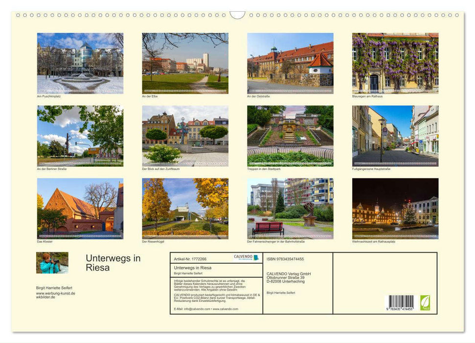 Unterwegs in Riesa (CALVENDO Wandkalender 2025)