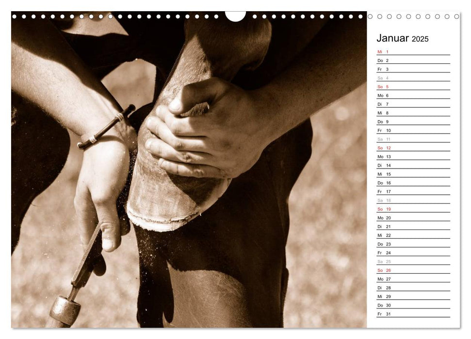 Hufschmied Traditionshandwerk (CALVENDO Wandkalender 2025)