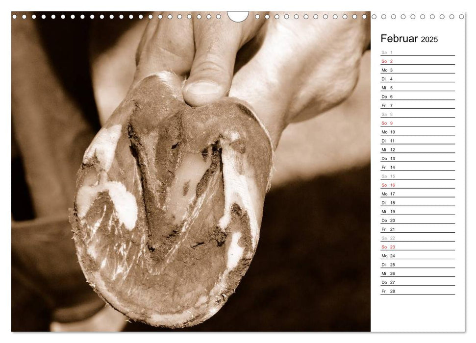 Hufschmied Traditionshandwerk (CALVENDO Wandkalender 2025)