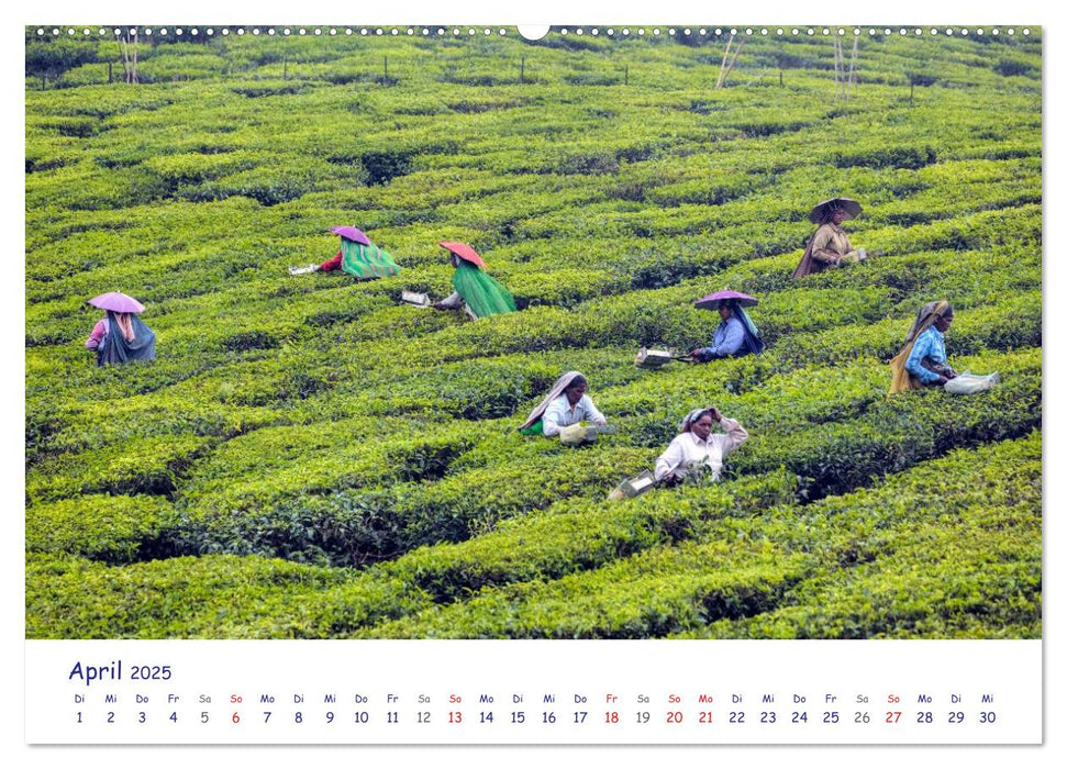 Indien - Eine Fotoreise vom Norden bis in den Süden (CALVENDO Wandkalender 2025)