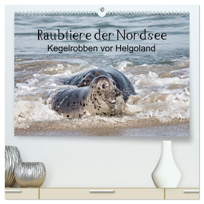 Raubtier der Nordsee - Kegelrobben vor Helgoland (CALVENDO Premium Wandkalender 2025)