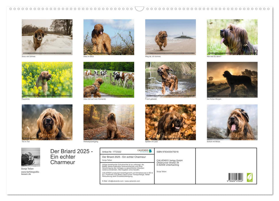 Der Briard 2025 - Ein echter Charmeur (CALVENDO Wandkalender 2025)