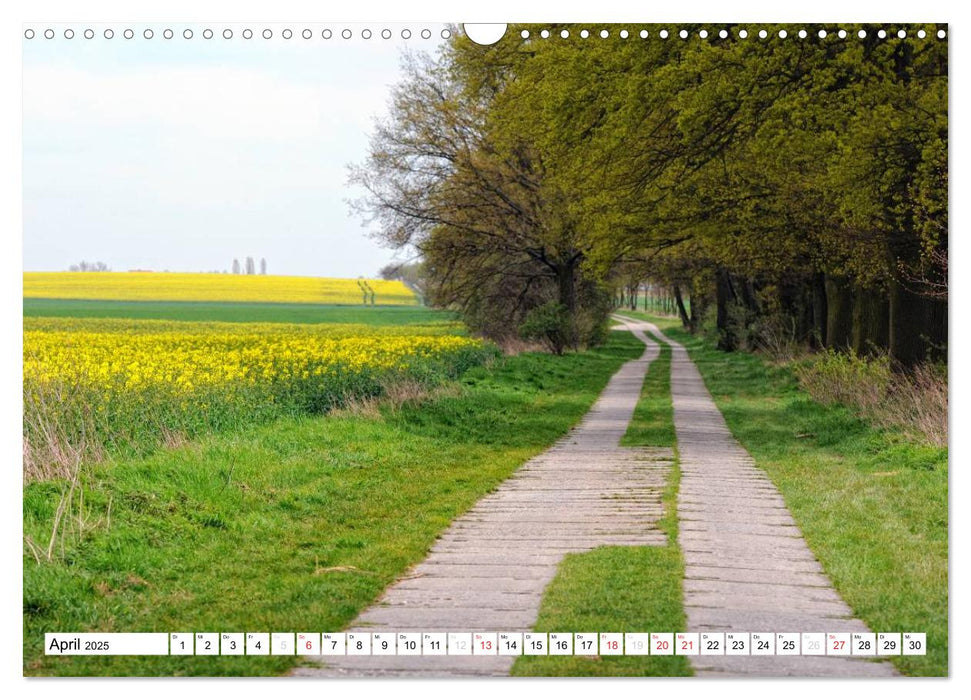 Vier Jahreszeiten im Land Brandenburg (CALVENDO Wandkalender 2025)