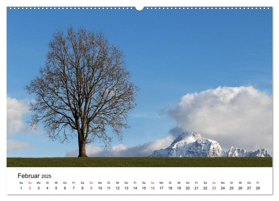 Hopfensee - Riviera des Allgäus (CALVENDO Premium Wandkalender 2025)