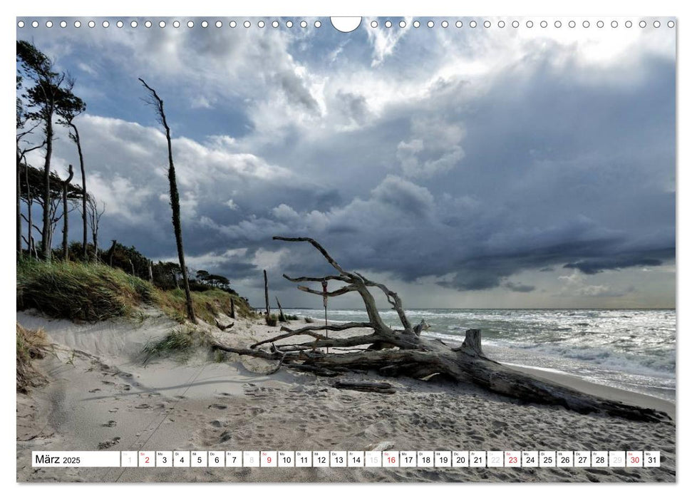 Naturschauspiel Darßer Weststrand (CALVENDO Wandkalender 2025)