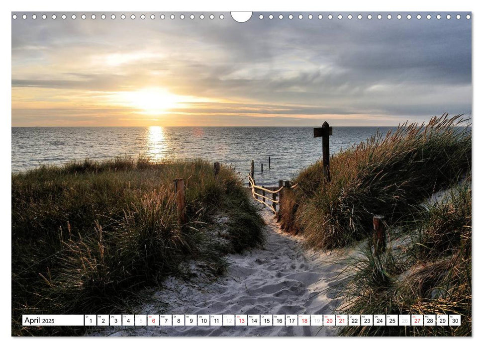 Naturschauspiel Darßer Weststrand (CALVENDO Wandkalender 2025)