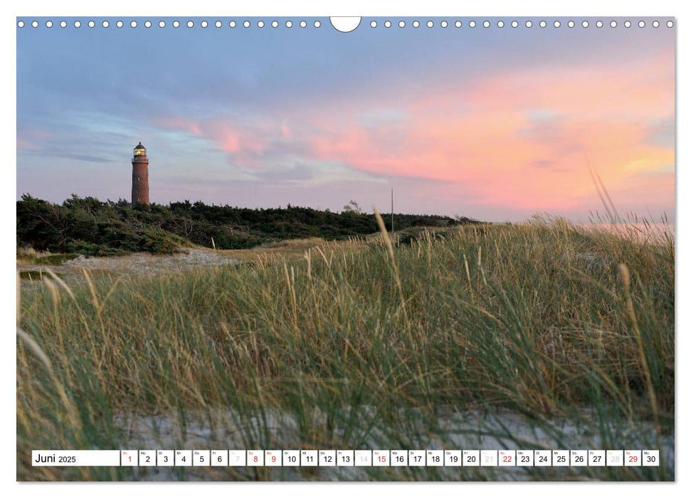 Naturschauspiel Darßer Weststrand (CALVENDO Wandkalender 2025)