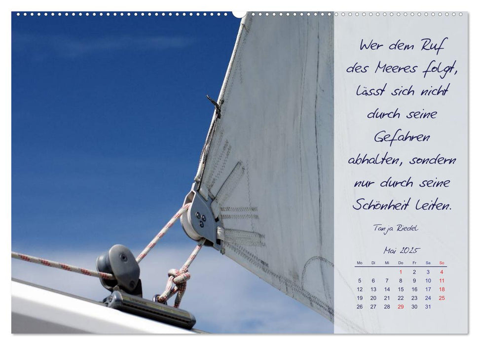 Detailbetrachtung eines Seglers (CALVENDO Premium Wandkalender 2025)