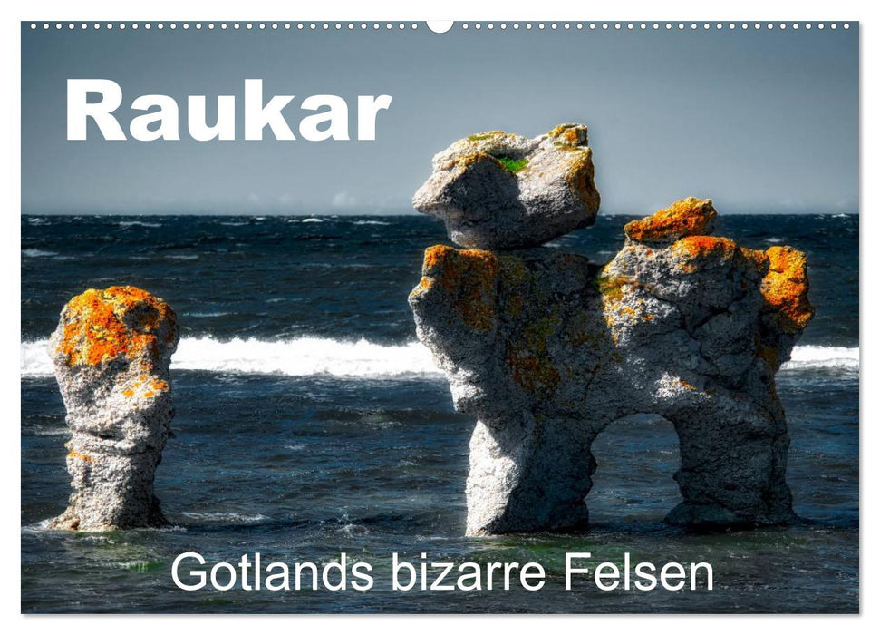 Raukar - Gotlands bizarre Felsen (CALVENDO Wandkalender 2025)