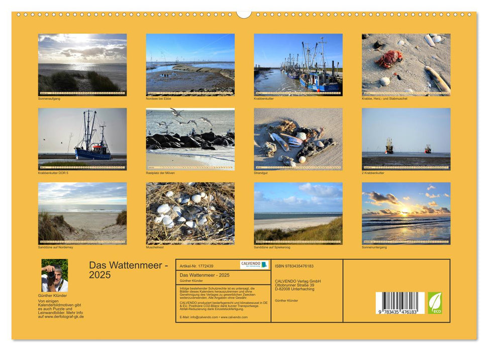 Das Wattenmeer - 2025 (CALVENDO Premium Wandkalender 2025)