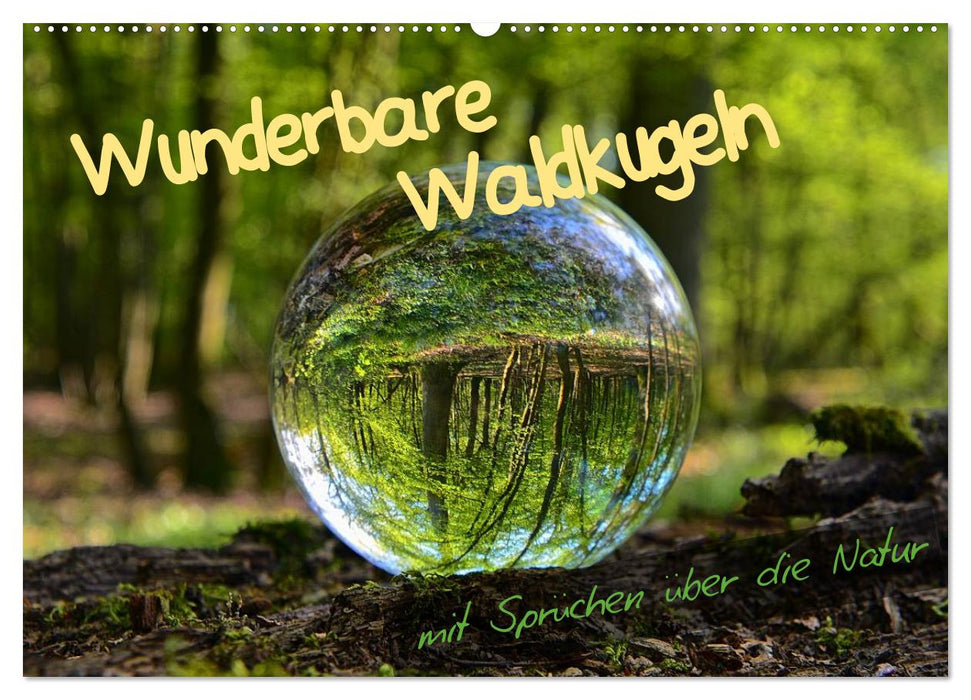 Wunderbare Waldkugeln (CALVENDO Wandkalender 2025)