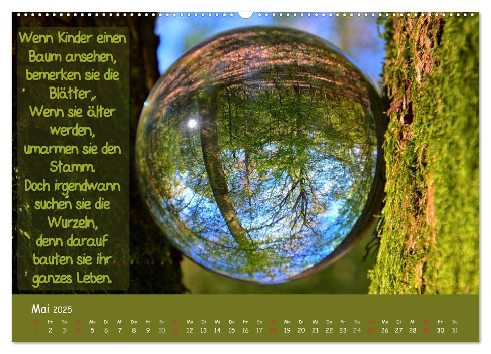 Wunderbare Waldkugeln (CALVENDO Wandkalender 2025)