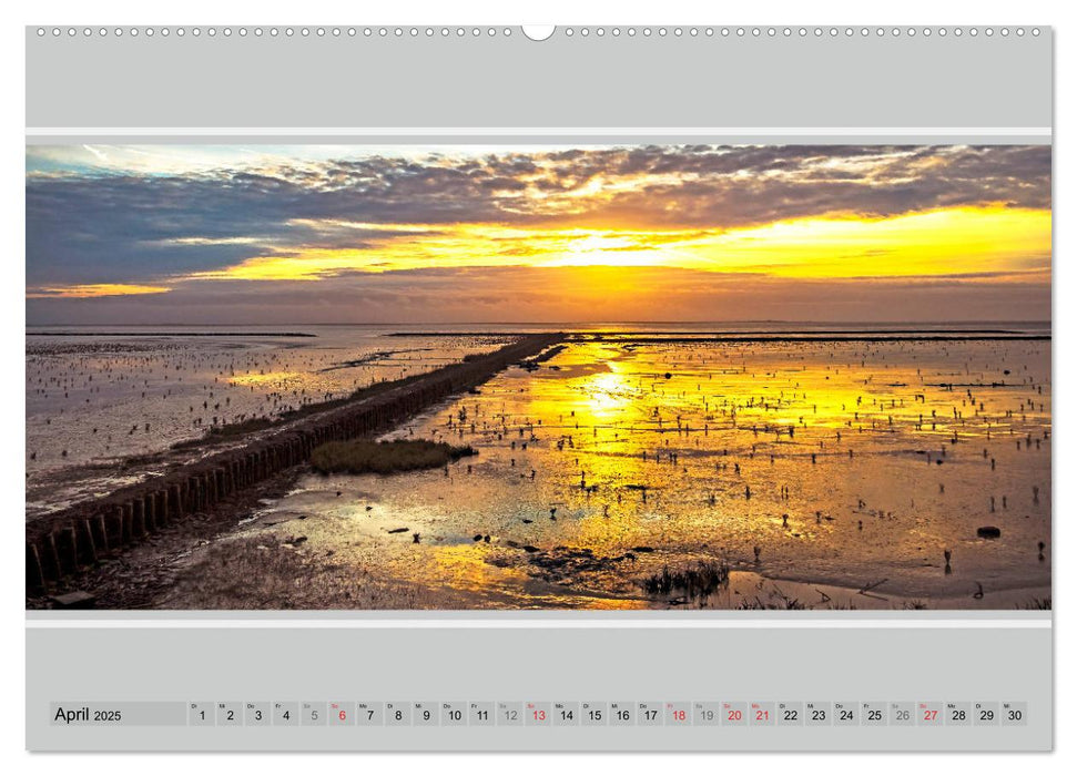 Ostfriesland Panorama (CALVENDO Premium Wandkalender 2025)