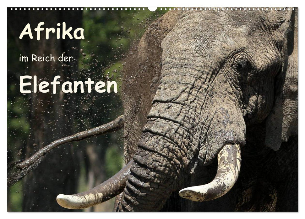 Afrika - im Reich der Elefanten (CALVENDO Wandkalender 2025)