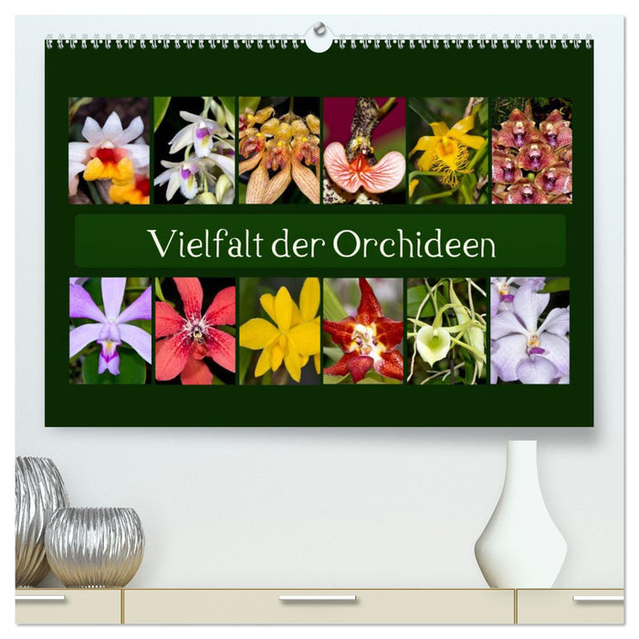 Vielfalt der Orchideen (CALVENDO Premium Wandkalender 2025)