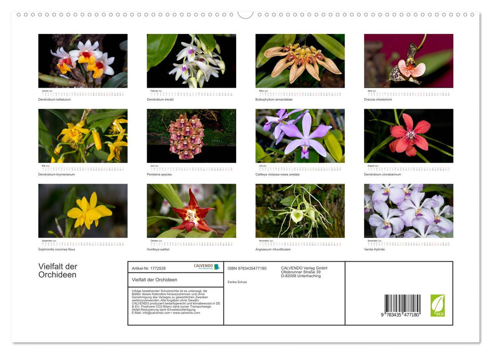 Vielfalt der Orchideen (CALVENDO Premium Wandkalender 2025)