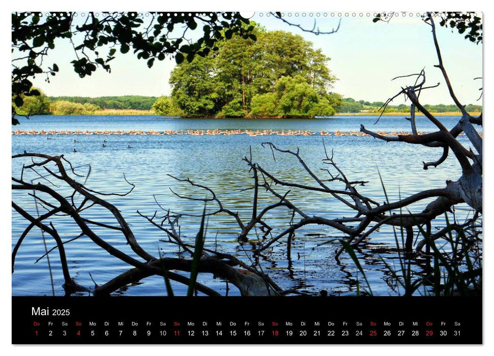 Zeit für... die Seenplatte Holsteinische Schweiz (CALVENDO Premium Wandkalender 2025)