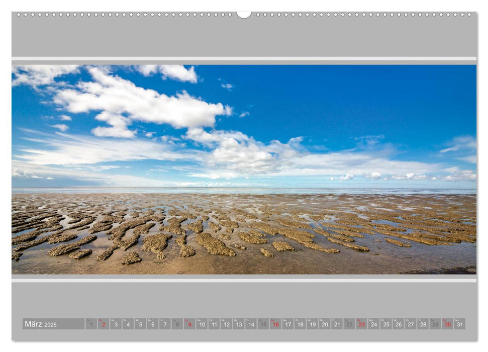 Ostfriesland - Deichspaziergang (CALVENDO Premium Wandkalender 2025)